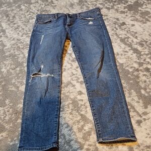 Banana Republic Ankle Skinny Jean Size 29